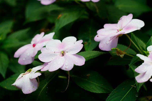 Comment choisir les sols gymnases à Bordeaux pour optimiser sécurité et performance